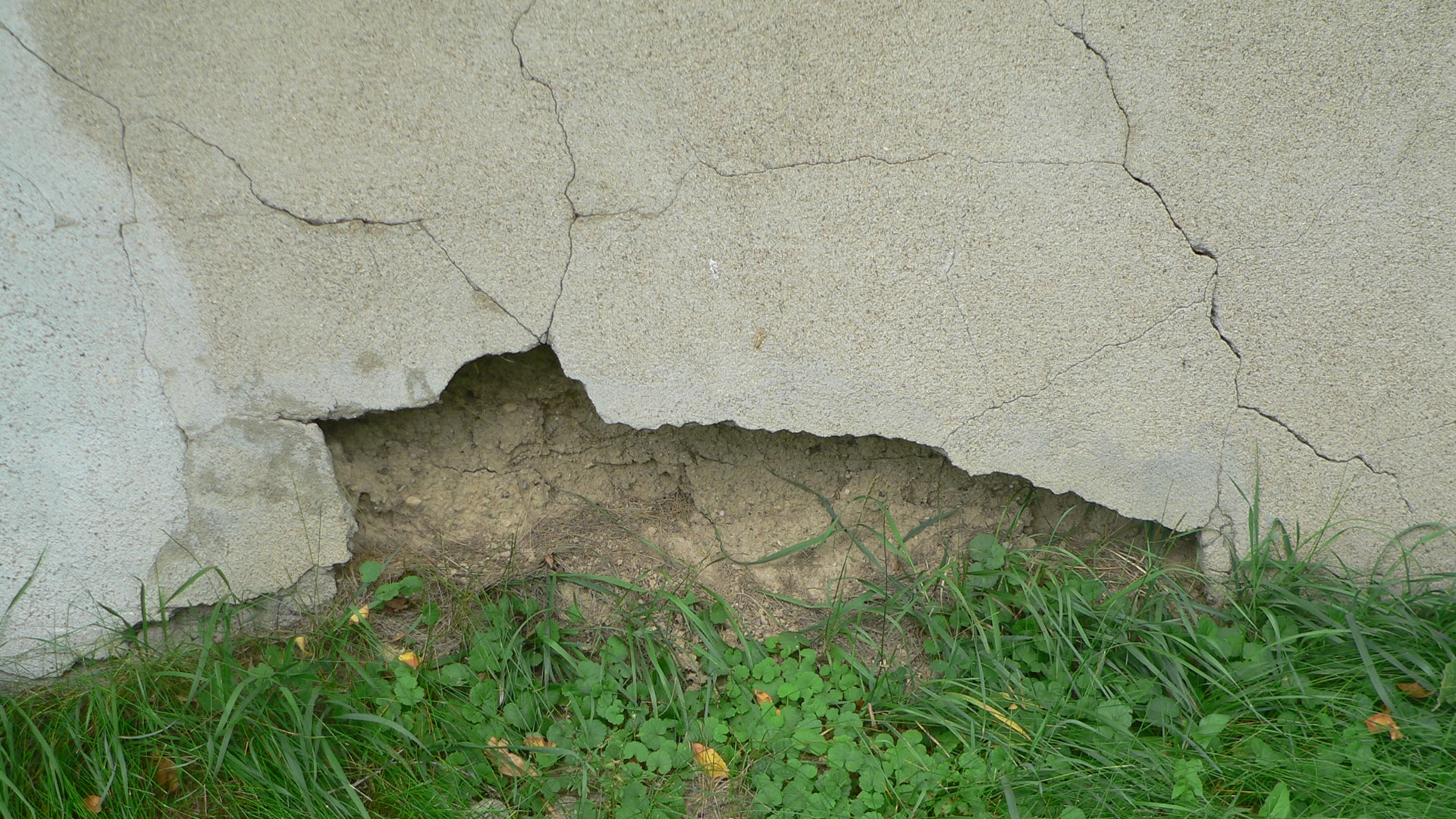 Repair Stucco Damage